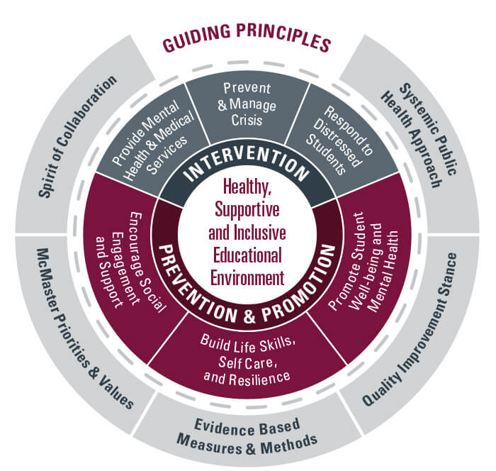 Healthy, Supportive and Inclusive Educational Environment Framework Graphic